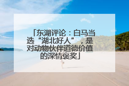 东湖评论：白马当选“湖北好人”，是对动物伙伴道德价值的深情褒奖