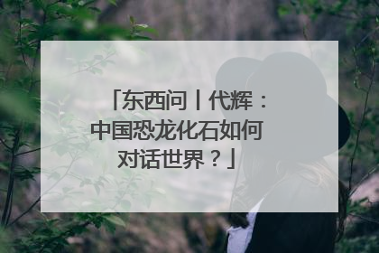 东西问丨代辉：中国恐龙化石如何对话世界？