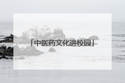 中医药文化进校园