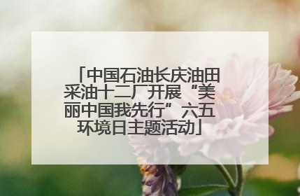 中国石油长庆油田采油十二厂开展“美丽中国我先行”六五环境日主题活动