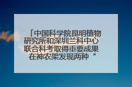 中国科学院昆明植物研究所和深圳兰科中心联合科考取得重要成果 在神农架发现两种“国保”级兰花