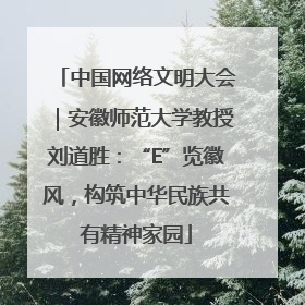 中国网络文明大会｜安徽师范大学教授刘道胜：“E”览徽风，构筑中华民族共有精神家园