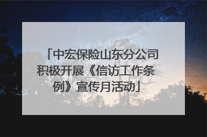 中宏保险山东分公司积极开展《信访工作条例》宣传月活动