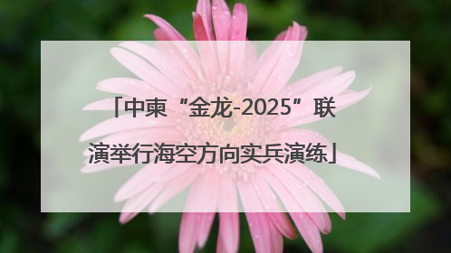中柬“金龙-2025”联演举行海空方向实兵演练
