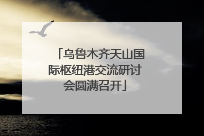 乌鲁木齐天山国际枢纽港交流研讨会圆满召开
