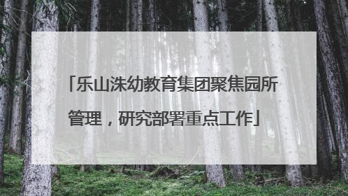 乐山洙幼教育集团聚焦园所管理，研究部署重点工作