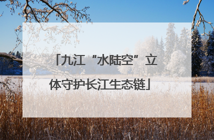九江“水陆空”立体守护长江生态链