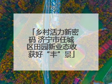 乡村活力新密码 济宁市任城区田园新业态收获好“丰”景