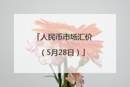 人民币市场汇价（5月28日）