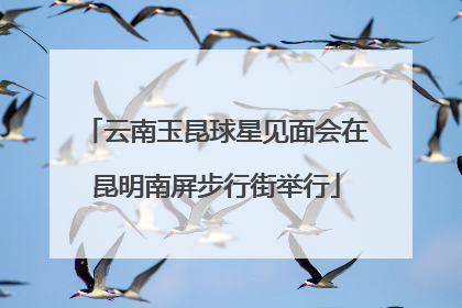 云南玉昆球星见面会在昆明南屏步行街举行