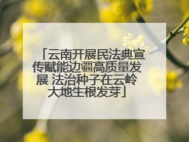 云南开展民法典宣传赋能边疆高质量发展 法治种子在云岭大地生根发芽