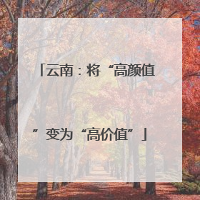 云南：将“高颜值”变为“高价值”