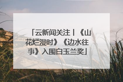云新闻关注丨《山花烂漫时》《边水往事》入围白玉兰奖
