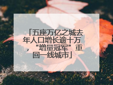 五座万亿之城去年人口增长逾十万，“增量冠军”重回一线城市