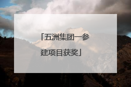 五洲集团一参建项目获奖