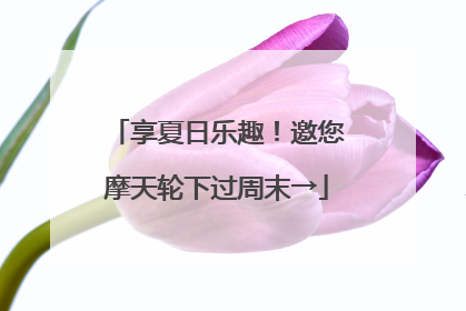 享夏日乐趣！邀您摩天轮下过周末→