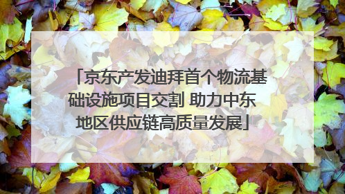 京东产发迪拜首个物流基础设施项目交割 助力中东地区供应链高质量发展