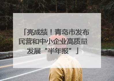 亮成绩！青岛市发布民营和中小企业高质量发展“半年报”