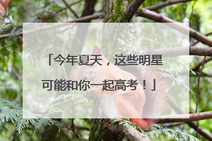 今年夏天，这些明星可能和你一起高考！
