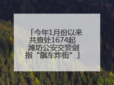 今年1月份以来共查处1674起 潍坊公安交警剑指“飙车炸街”