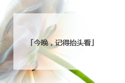 今晚，记得抬头看