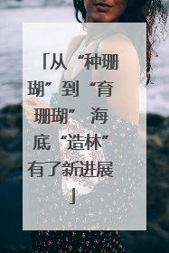 从“种珊瑚”到“育珊瑚” 海底“造林”有了新进展