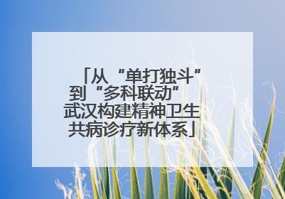 从“单打独斗”到“多科联动” 武汉构建精神卫生共病诊疗新体系
