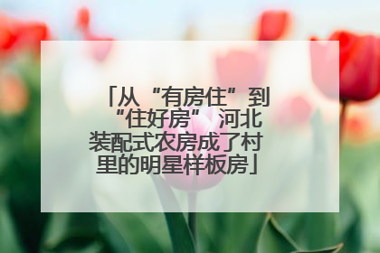 从“有房住”到“住好房” 河北装配式农房成了村里的明星样板房