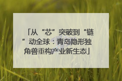 从“芯”突破到“链”动全球：青岛隐形独角兽重构产业新生态