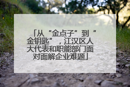 从“金点子”到“金钥匙”，江汉区人大代表和职能部门面对面解企业难题