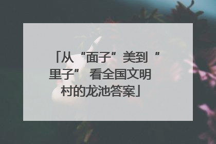 从“面子”美到“里子” 看全国文明村的龙池答案
