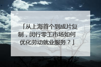 从上海首个到成片复制，闵行零工市场如何优化劳动就业服务？