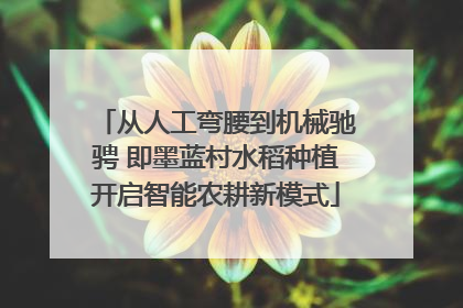 从人工弯腰到机械驰骋 即墨蓝村水稻种植开启智能农耕新模式