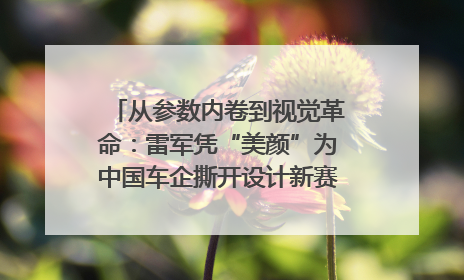 从参数内卷到视觉革命：雷军凭“美颜”为中国车企撕开设计新赛道｜封面车评