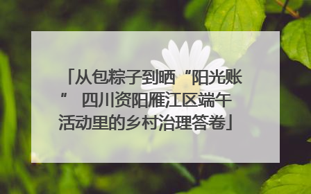 从包粽子到晒“阳光账” 四川资阳雁江区端午活动里的乡村治理答卷
