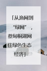从渔网到“绿网”，蔡甸桐湖网住绿色生态经济
