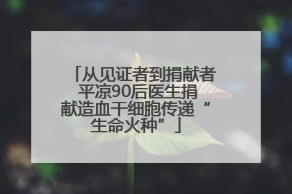 从见证者到捐献者 平凉90后医生捐献造血干细胞传递“生命火种”