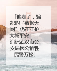 他走了，编织的“数据天网”仍在守护大城平安——追记武汉市公安局因公牺牲民警万松