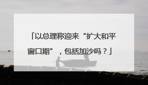 以总理称迎来“扩大和平窗口期”，包括加沙吗？