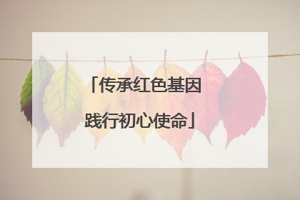 传承红色基因 践行初心使命