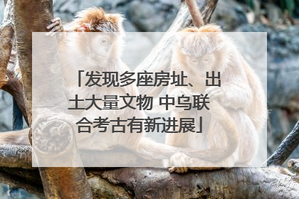 发现多座房址、出土大量文物 中乌联合考古有新进展