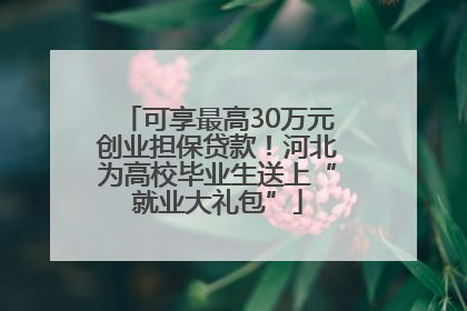 可享最高30万元创业担保贷款！河北为高校毕业生送上“就业大礼包”