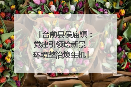 台前县侯庙镇：党建引领绘新景 环境整治焕生机