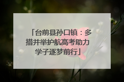 台前县孙口镇：多措并举护航高考助力学子逐梦前行