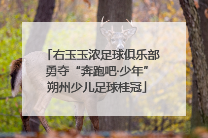 右玉玉浓足球俱乐部勇夺“奔跑吧·少年”朔州少儿足球桂冠