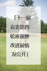 十一届省委第四轮巡视整改进展情况公开