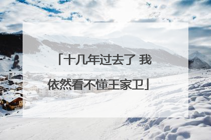 十几年过去了 我依然看不懂王家卫