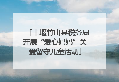 十堰竹山县税务局开展“爱心妈妈”关爱留守儿童活动