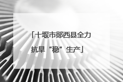 十堰市郧西县全力抗旱“稳”生产