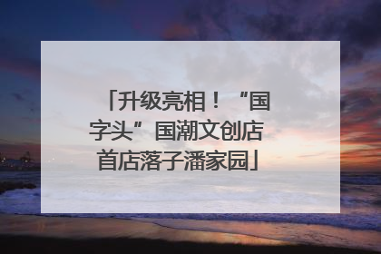 升级亮相！“国字头”国潮文创店首店落子潘家园
